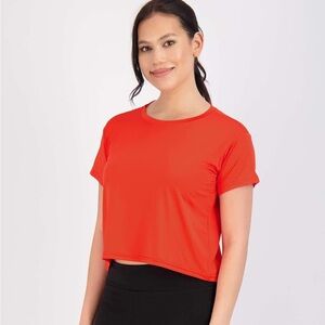 Short Sleeve Dry Fit Workout Tops (Set of 4)